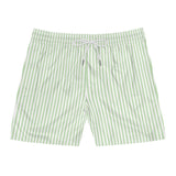 Vert Seersucker Shorts Printify
